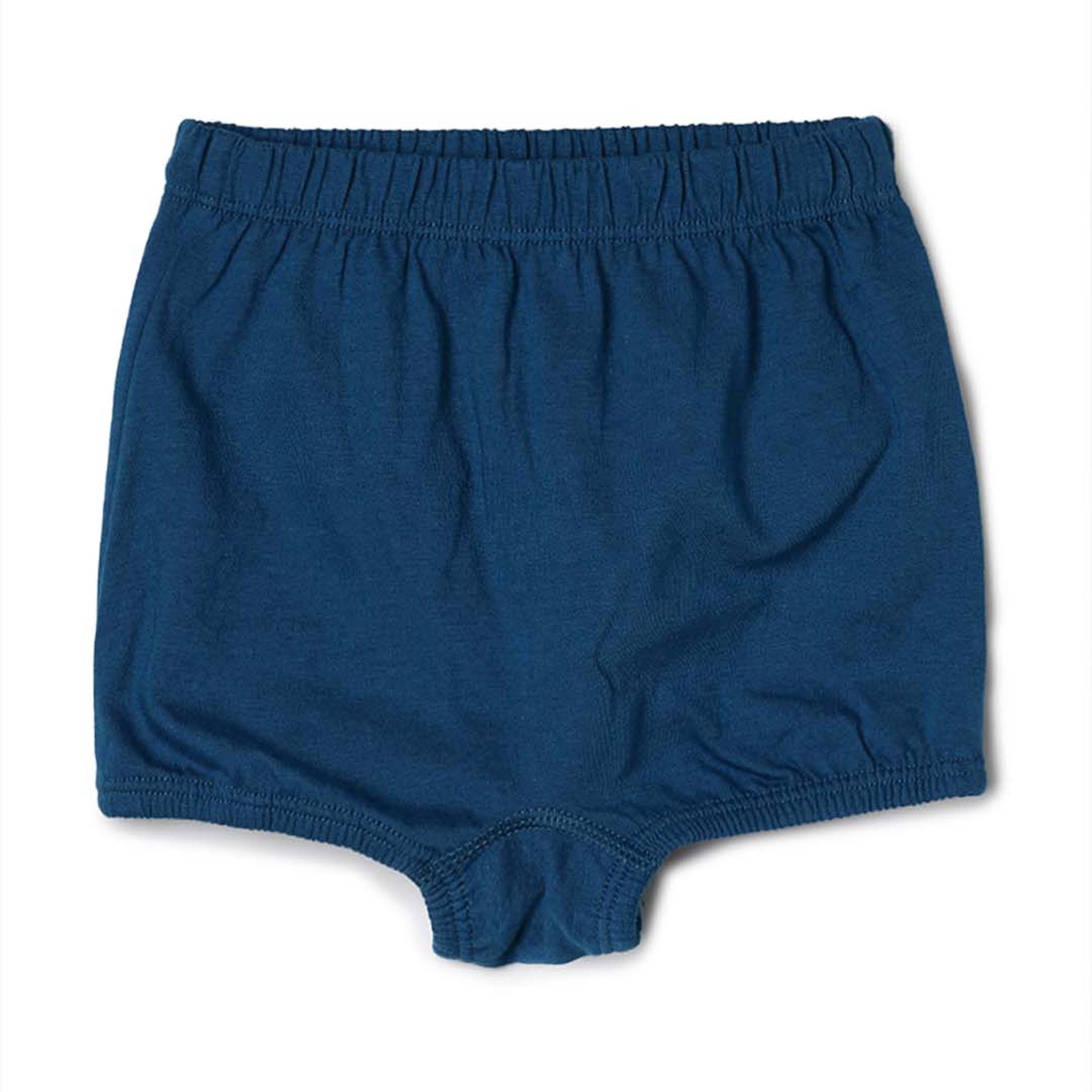 Kids Panty _ Berry Shorts-Plain _ Pack of 3