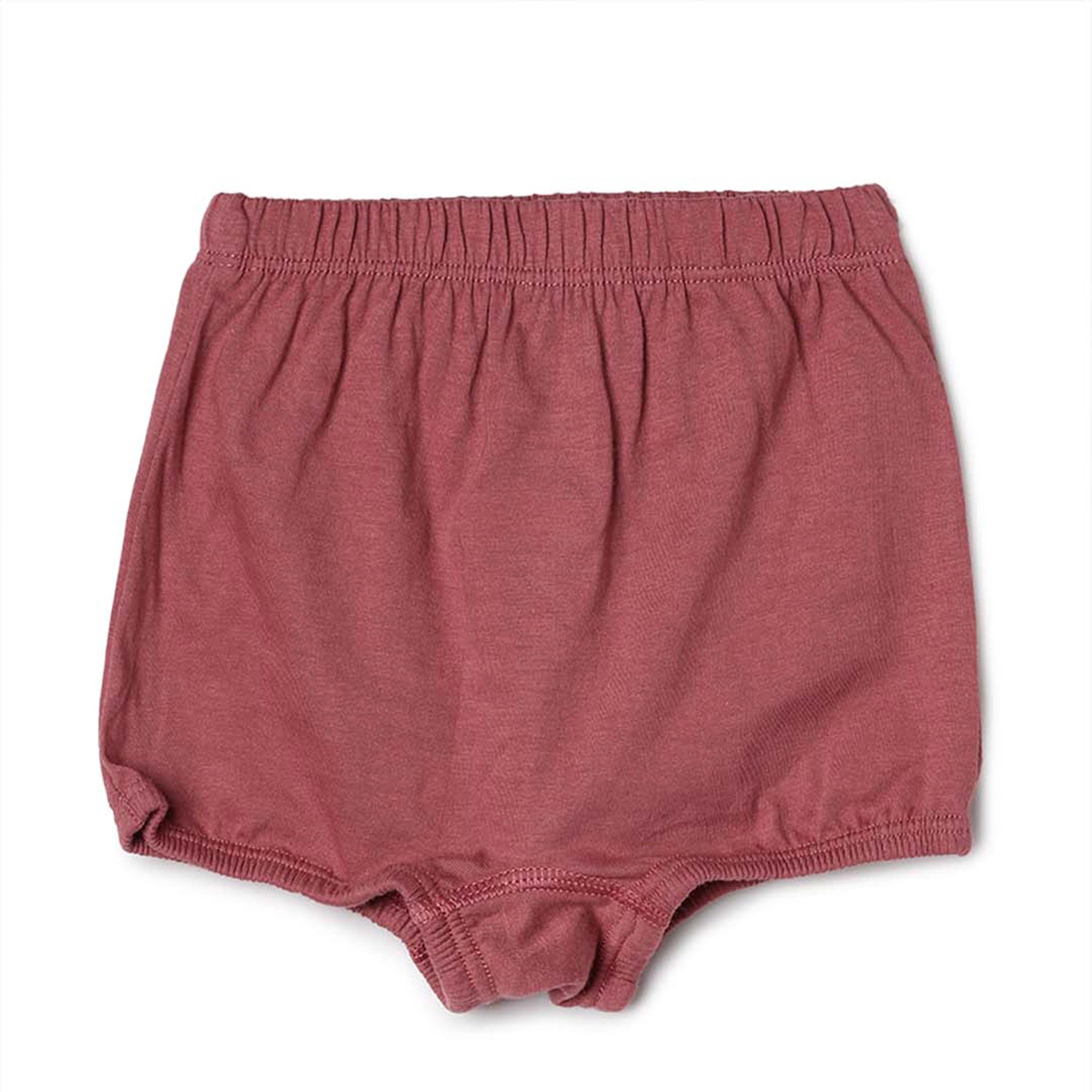 Kids Panty _ Berry Shorts-Plain _ Pack of 3