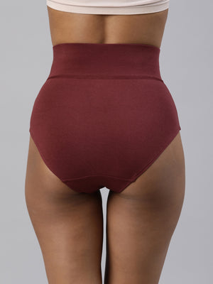 blossom-tummy tucker(pack of 2)-assorted11-tummy control-panty