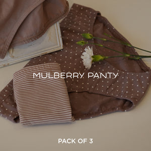 Mulberry Panty - Low Waisted Bikini For Teens Pack of 3