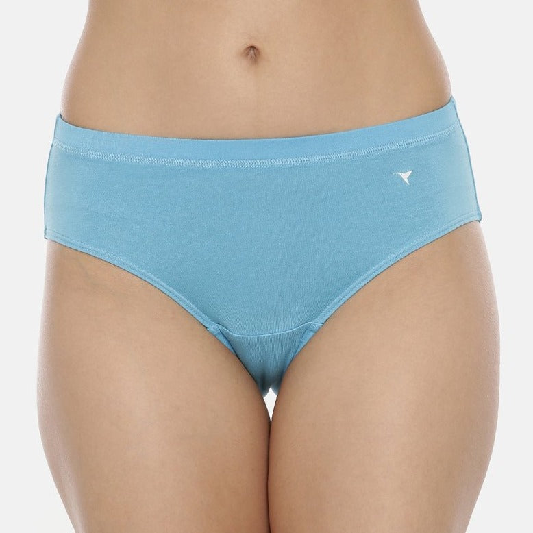 blossom-comfy panty-assorted2-hipster-panty