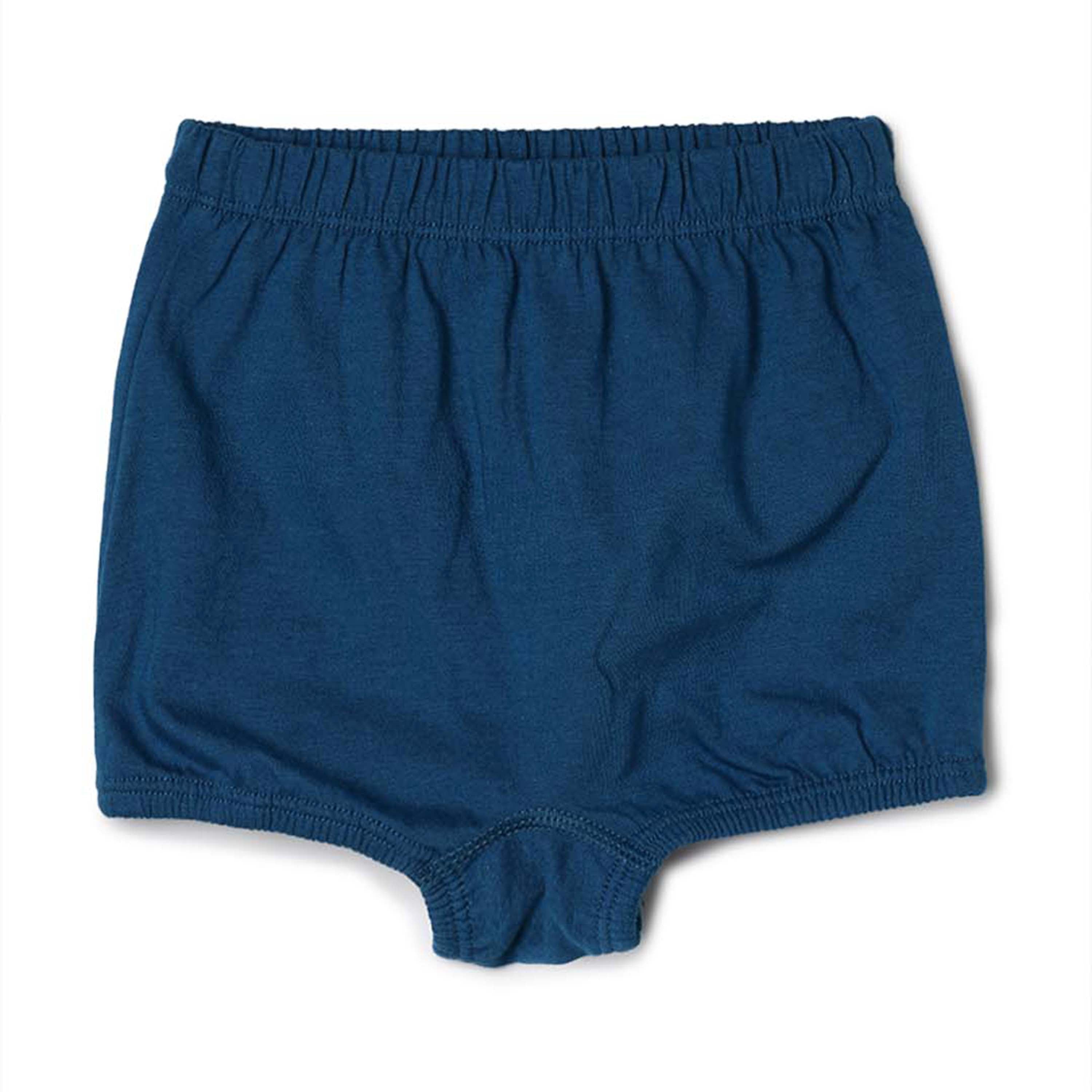blossom-girls shorty plain(pack of 3)-assorted1-girls shorts-junior