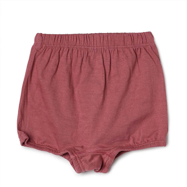 blossom-girls shorty plain(pack of 3)-assorted6-girls shorts-junior