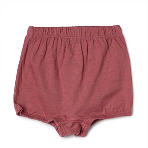 Kids Panty - Berry Shorts-Plain Pack of 3 - 100% Cotton