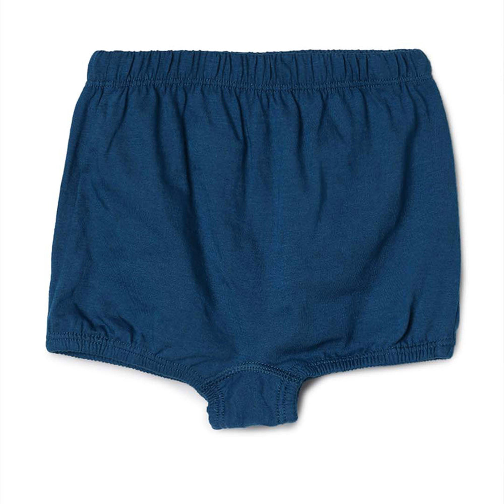 blossom-girls shorty plain(pack of 3)-assorted1-girls shorts-junior