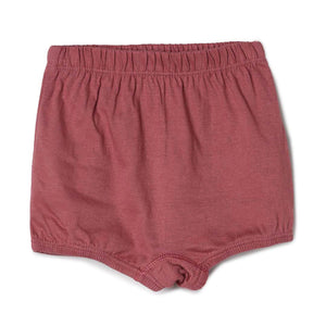 blossom-girls shorty plain(pack of 3)-assorted7-girls shorts-junior