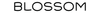 Blossom Inners Pvt. Ltd.