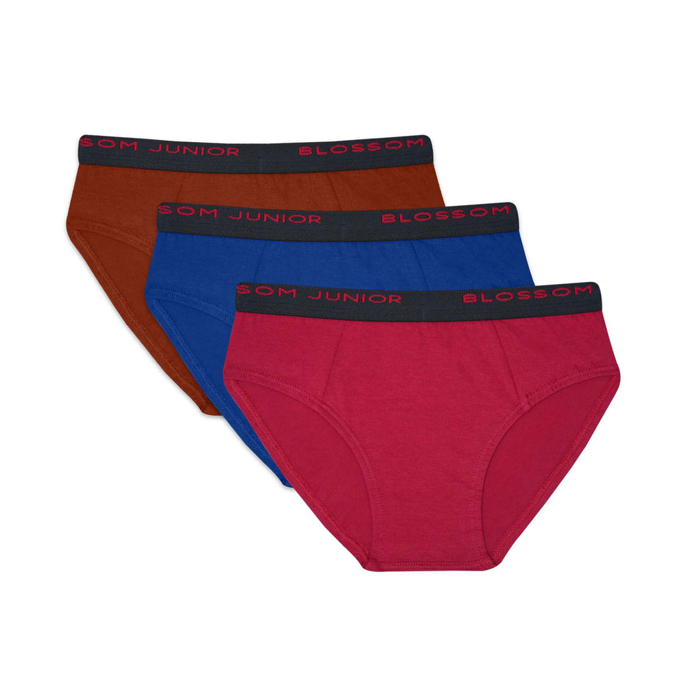 Kids Buzz Brief - Cotton Boys Brief Pack of 3