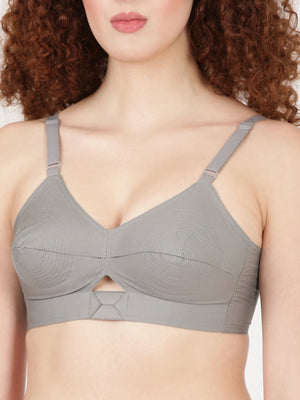 Buy Blossom Bra_Centre Elastic_PRIYASAJINI MIXED BRA_2511 GREY 2