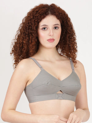 Buy Blossom Bra_Centre Elastic_PRIYASAJINI MIXED BRA_2511 GREY 1