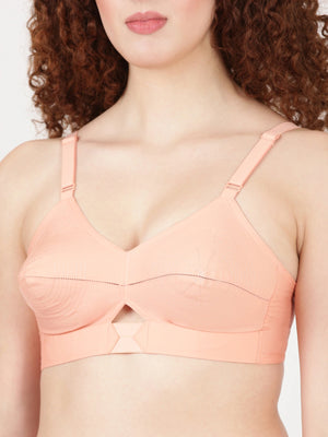 Buy Blossom Bra_Centre Elastic_PRIYASAJINI MIXED BRA_2511 PEACH 2
