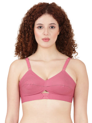 Buy Blossom Bra_Centre Elastic_PRIYASAJINI MIXED BRA_2511 ROSE GOLD 1