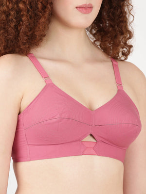 Buy Blossom Bra_Centre Elastic_PRIYASAJINI MIXED BRA_2511 ROSE GOLD 2