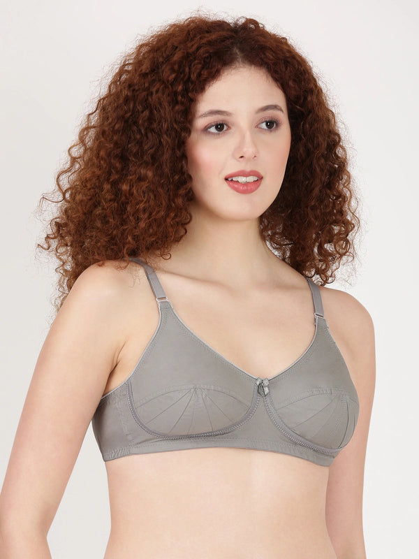 Buy Blossom Bra_Double Layered Cut and Sew_SAREE BRA_2511 DARK GREY 4
