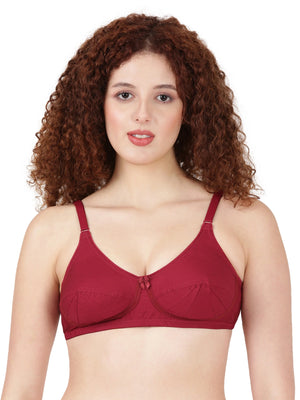 Buy Blossom Bra_Double Layered Cut and Sew_SAREE BRA_2511 MARRON 1