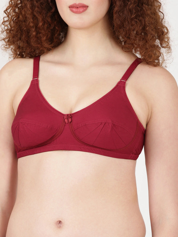 Buy Blossom Bra_Double Layered Cut and Sew_SAREE BRA_2511 MARRON 2