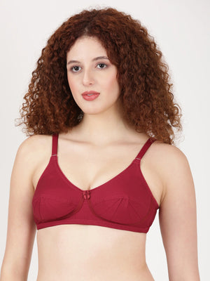 Buy Blossom Bra_Double Layered Cut and Sew_SAREE BRA_2511 MARRON 4