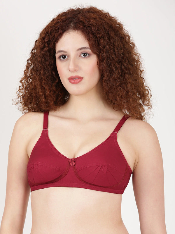 Buy Blossom Bra_Double Layered Cut and Sew_SAREE BRA_2511 MARRON 4