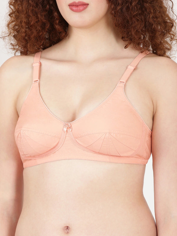 Buy Blossom Bra_Double Layered Cut and Sew_SAREE BRA_2511 PEACH 2