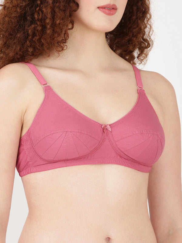Buy Blossom Bra_Double Layered Cut and Sew_SAREE BRA_2511 ROSE GOLD 2