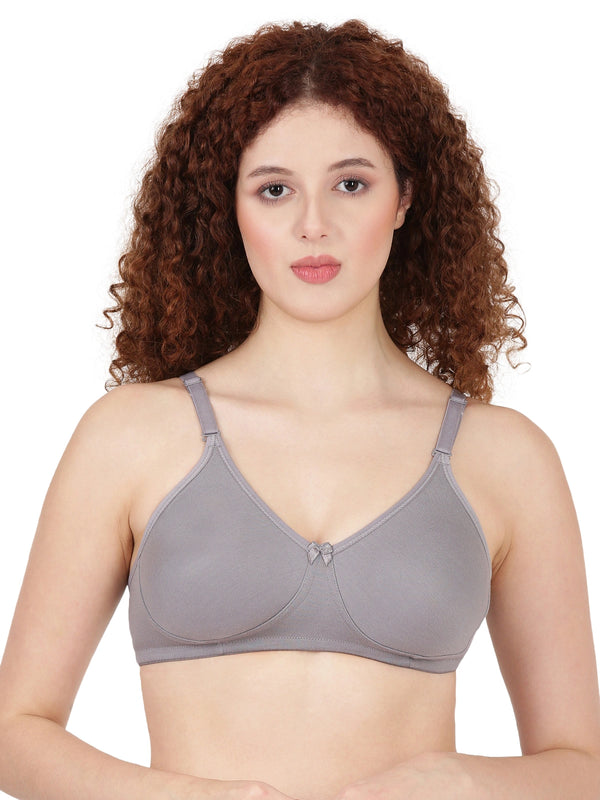 Buy Blossom Bra_Removable Straps_T-SHIRT BRA_2511 GREY 1