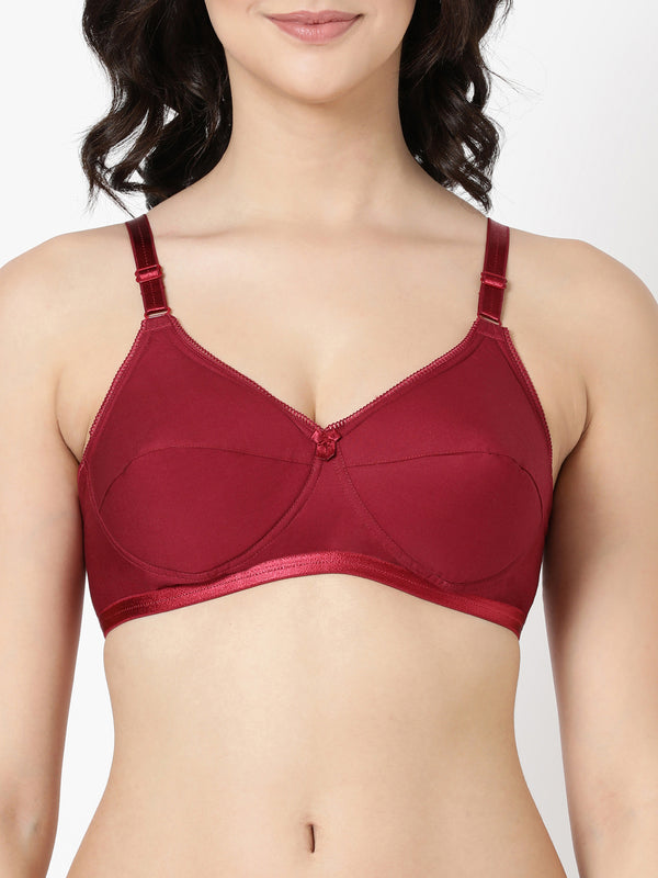 Buy Blossom_Cool Foam Bra_Padded Cups and U-Back Support_Maroon-2