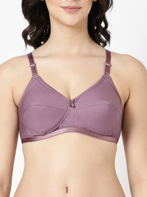 Buy Blossom_Cool Foam Bra_Padded Cups and U-Back Support_Mauve-2