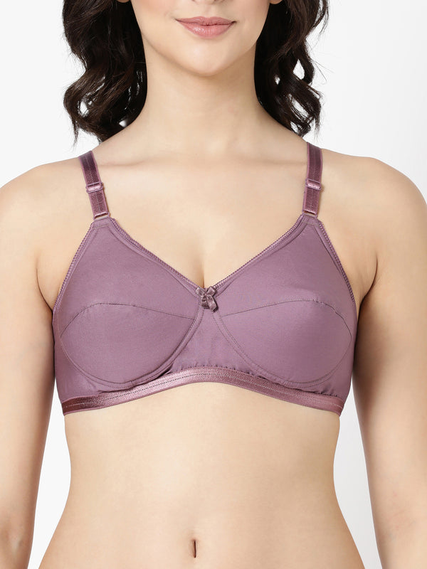 Buy Blossom_Cool Foam Bra_Padded Cups and U-Back Support_Mauve-2