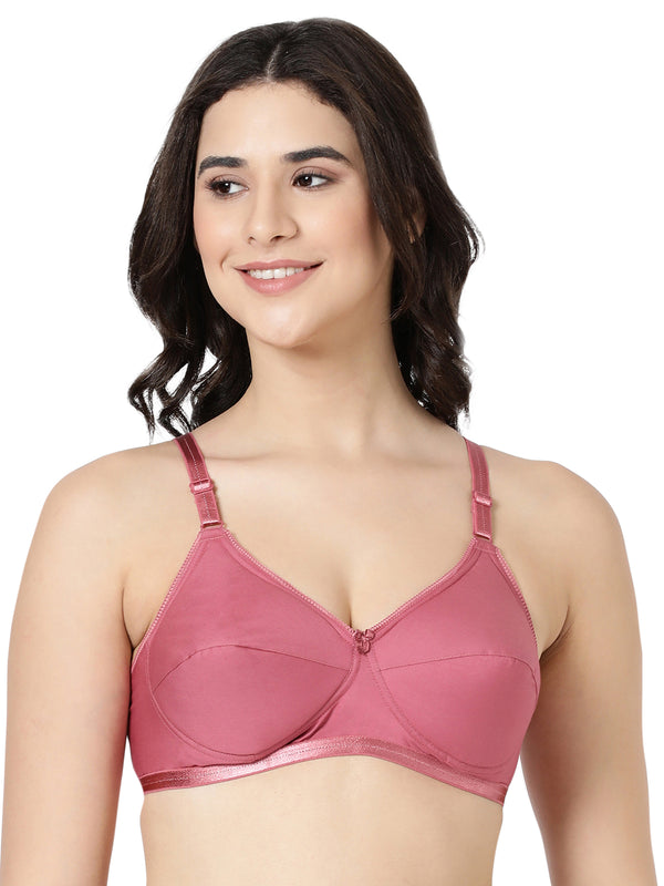 Buy Blossom_Cool Foam Bra_Padded Cups and U-Back Support_Rose Gold-1