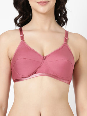 Buy Blossom_Cool Foam Bra_Padded Cups and U-Back Support_Rose Gold-2