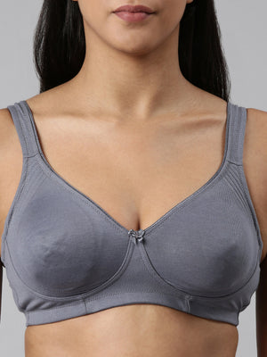 Buy_Blossom_Curvy_Lift_Wirefree_Support_Bra_Nipple_Concealer_Steel-Grey-1