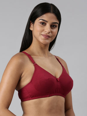 Buy Blossom_Ethnic Bra Cup_Seamless, Supportive_Maroon-4