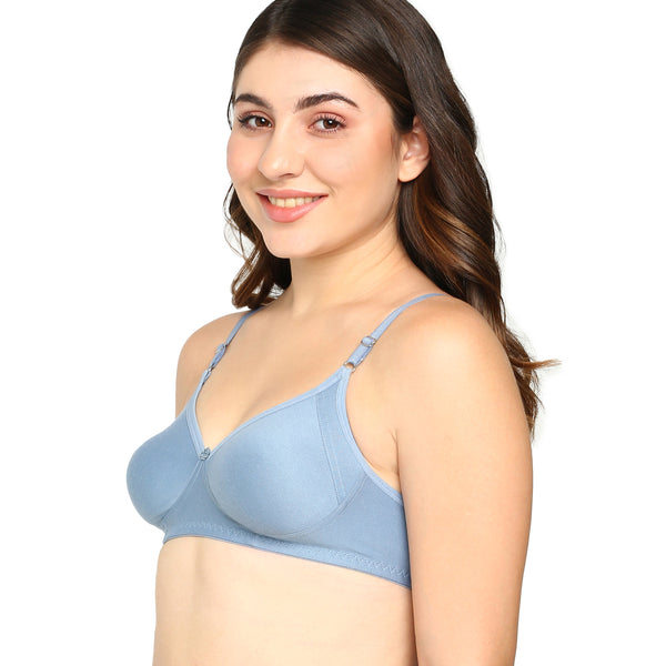 Buy_Blossom_Gracious_Bra_-T_Shirt_Bra_With_Moulded_Cups_Side_Panels_For_comfort_And_Support_silver_grey_