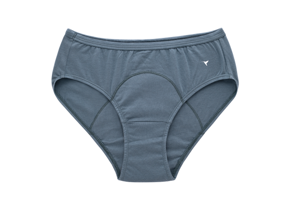 Happy period Panty - Medium Leak Proof Period Panty With 3 Layer Protection _Pack of 2