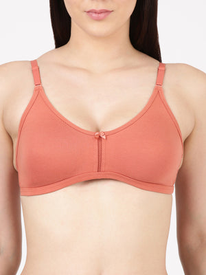 Buy_Blossom_Intimate_Bra_oft_Double-Layer_Daily_Wear_Bra_Brick-2