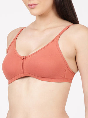 Buy_Blossom_Intimate_Bra_oft_Double-Layer_Daily_Wear_Bra_Brick-4