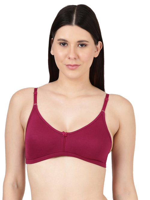 Buy_Blossom_Intimate_Bra_oft_Double-Layer_Daily_Wear_Bra_Pickle-Beet-1