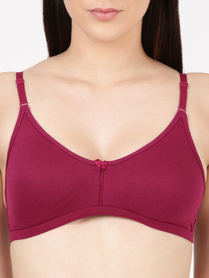 Buy_Blossom_Intimate_Bra_oft_Double-Layer_Daily_Wear_Bra_Pickle-Beet-2