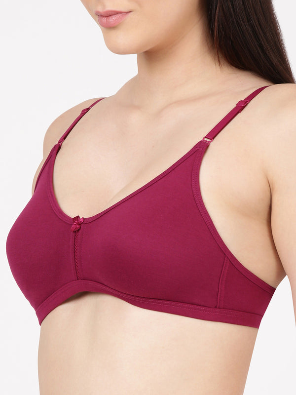 Buy_Blossom_Intimate_Bra_oft_Double-Layer_Daily_Wear_Bra_Pickle-Beet-4
