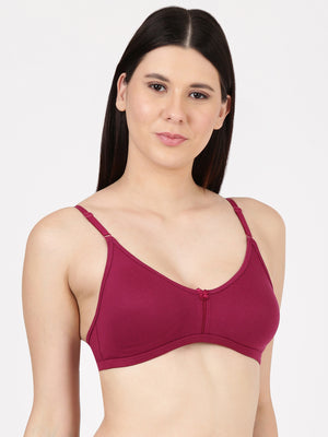 Buy_Blossom_Intimate_Bra_oft_Double-Layer_Daily_Wear_Bra_Pickle-Beet-5