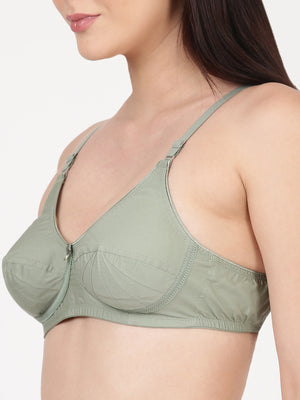 Buy_Blossom_Saree_Bra_cotton_U-Back_design_tailored_saree_blouse_iceberg_green