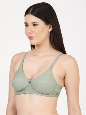 Buy_Blossom_Saree_Bra_cotton_U-Back_design_tailored_saree_blouse_iceberg_green