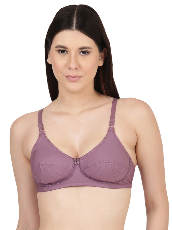 Buy_Blossom_Saree_Bra_cotton_U-Back_design_tailored_saree_blouse_mauve