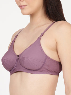 Buy_Blossom_Saree_Bra_cotton_U-Back_design_tailored_saree_blouse_mauve