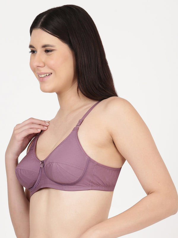 Buy_Blossom_Saree_Bra_cotton_U-Back_design_tailored_saree_blouse_mauve_