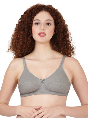 Buy_Blossom_Saree_Bra_cotton_U-Back_design_tailored_saree_blouse_dark_grey