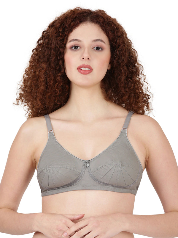 Buy_Blossom_Saree_Bra_cotton_U-Back_design_tailored_saree_blouse_dark_grey