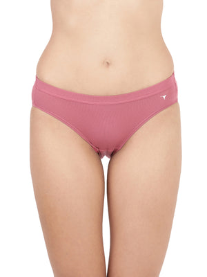 Misty Modal  - Soft Breathable Modal Seamless Bikini Panty Pack of 3