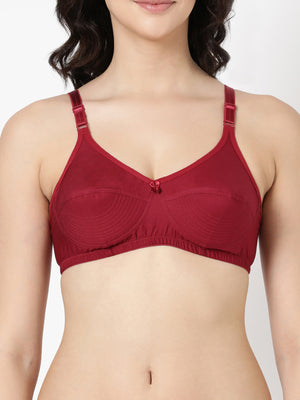 Buy_Blossom_Up_Lift_Bra_cotton_U-Back_design_double_layered_cups_maroon