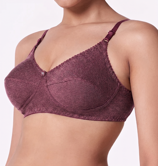 Buy_Blossom_Winners_Bra_Knitted_non_padded_support_bra_Wine-Melange